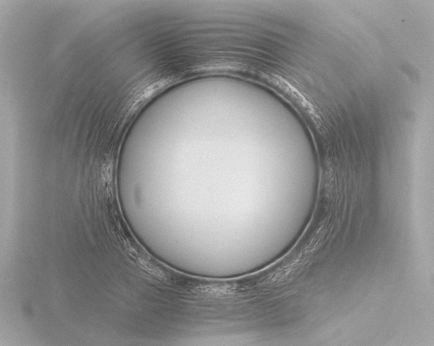 X0000116390937200912231106