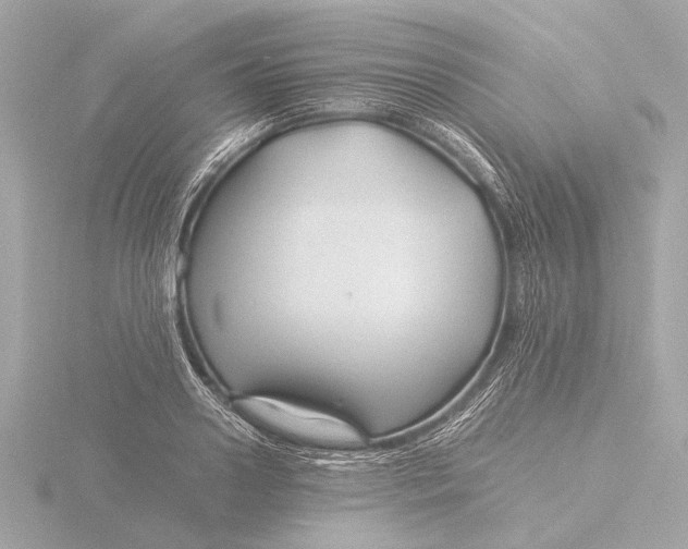 X0000116390938200912231106