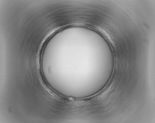 X0000116390939200912231106