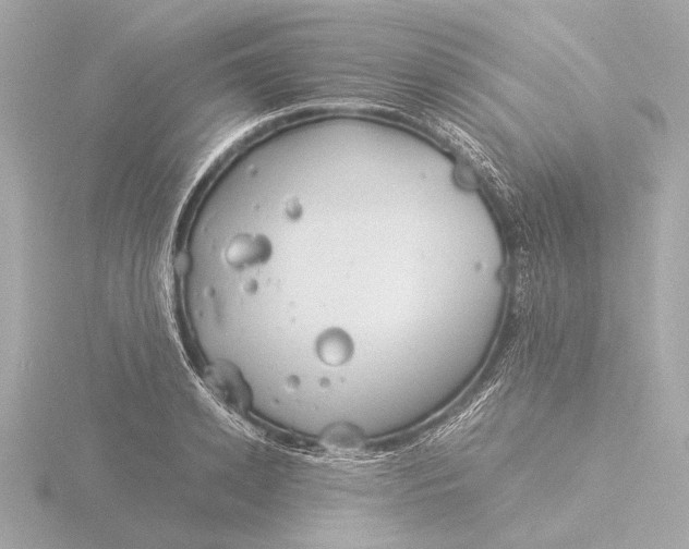 X0000116390942200912231106