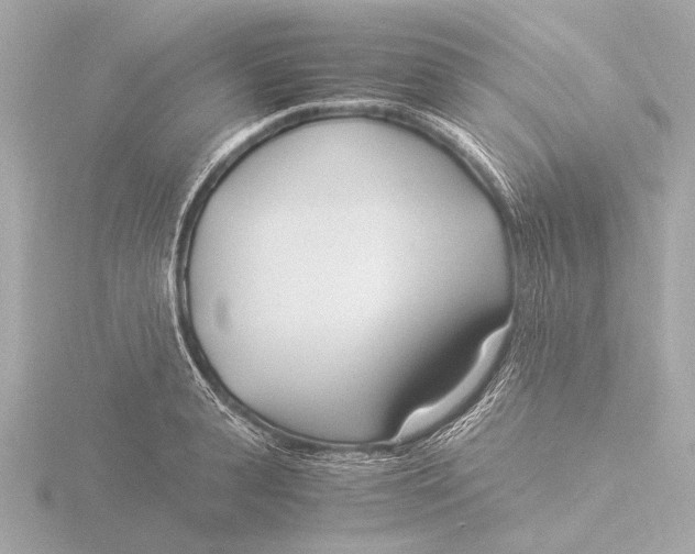 X0000116390943200912231106