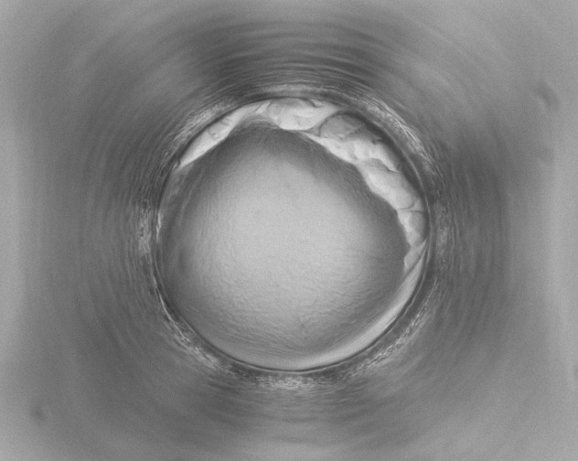 X0000116390945200912231106