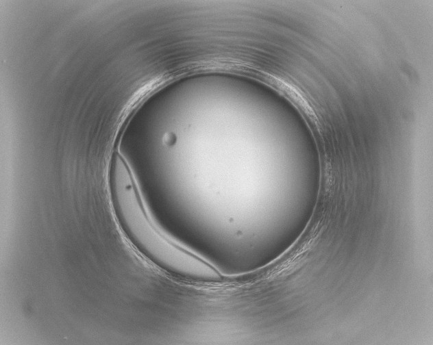 X0000116390946200912231107