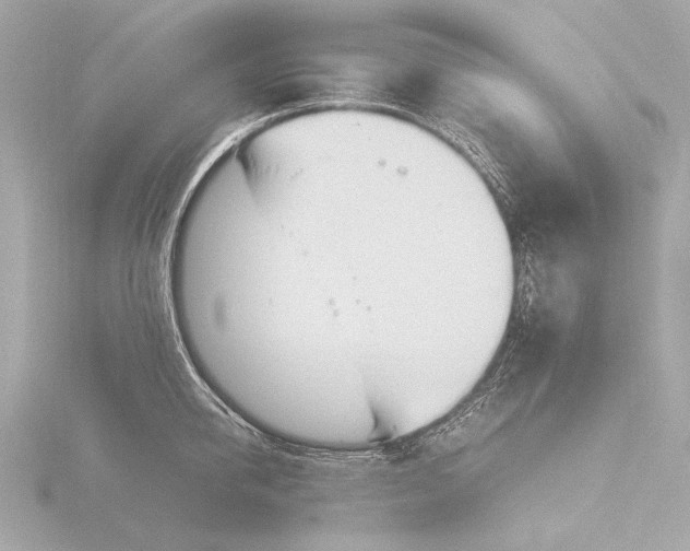 X0000116390950200912231107