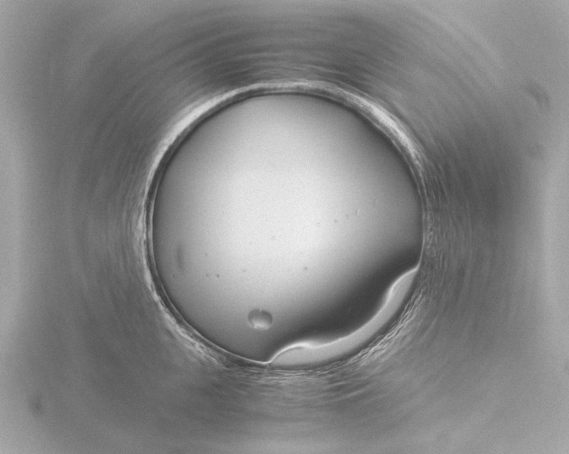 X0000116390951200912231107