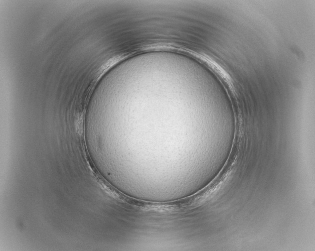 X0000116390953200912231107