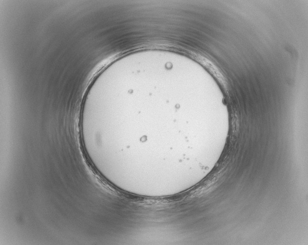 X0000116390954200912231107