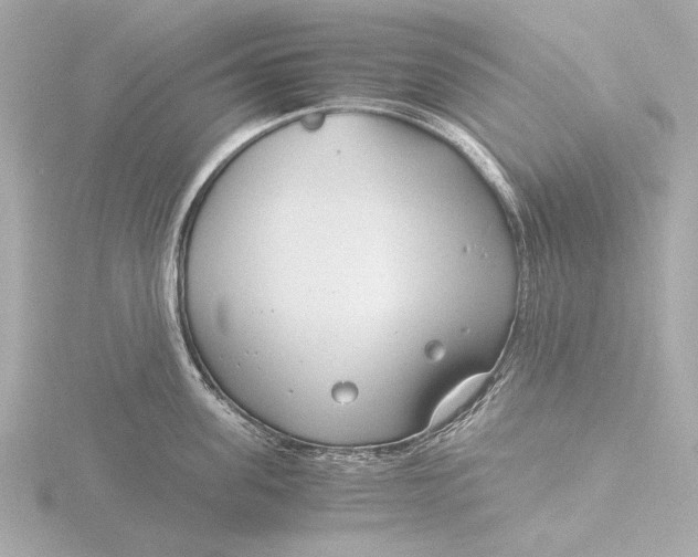 X0000116390955200912231107