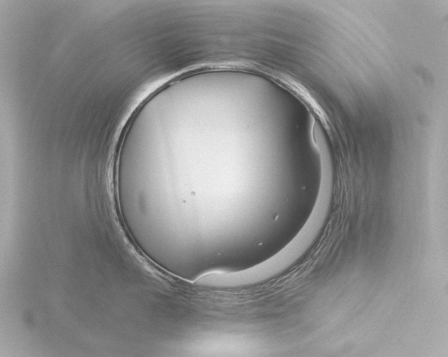 X0000116390959200912231107