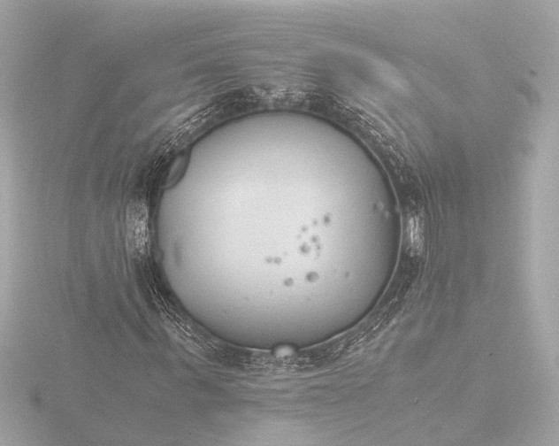 X0000116390963200912231106