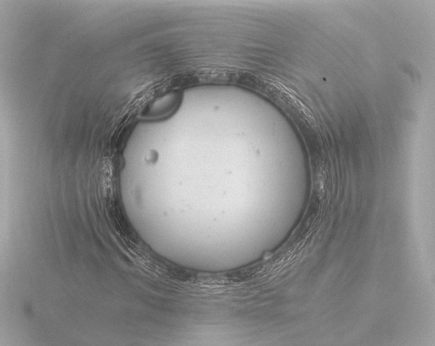 X0000116390964200912231106