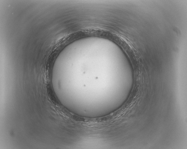 X0000116390965200912231106