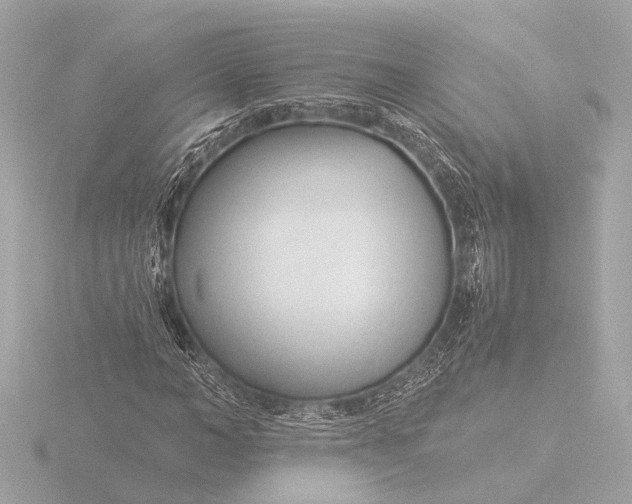 X0000116390966200912231106