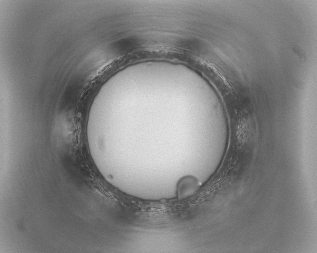 X0000116390968200912231106