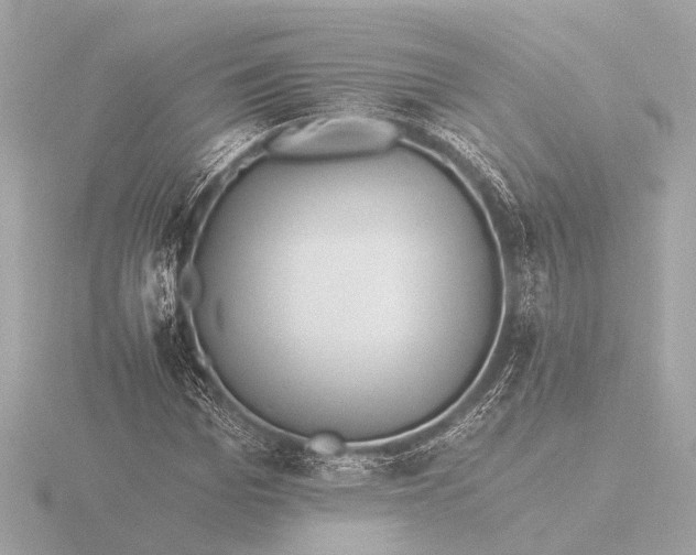 X0000116390969200912231106