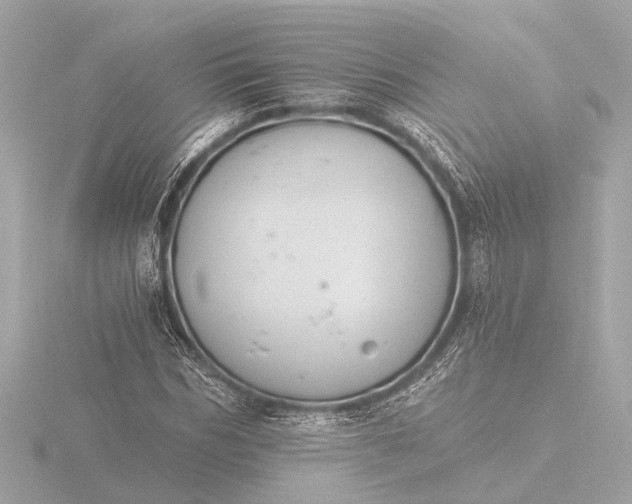 X0000116390970200912231106