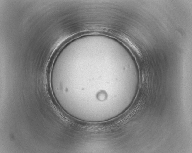 X0000116390972200912231106