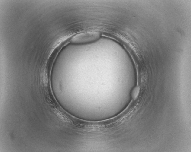 X0000116390973200912231106