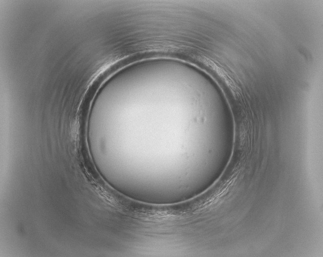 X0000116390975200912231106