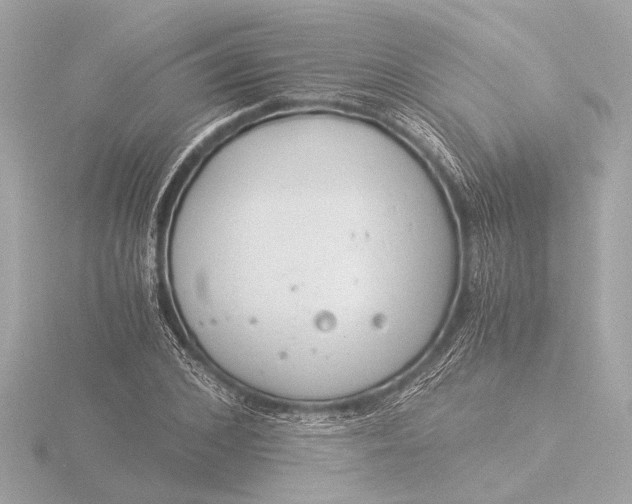 X0000116390976200912231106