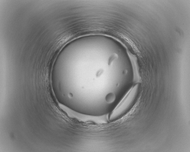 X0000116390977200912231106