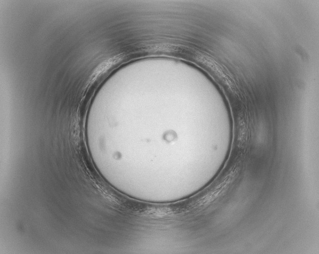 X0000116390978200912231106