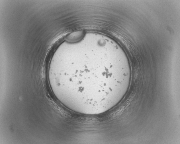 X0000116390979200912231106