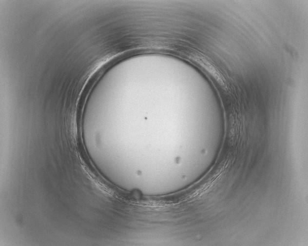 X0000116390980200912231106