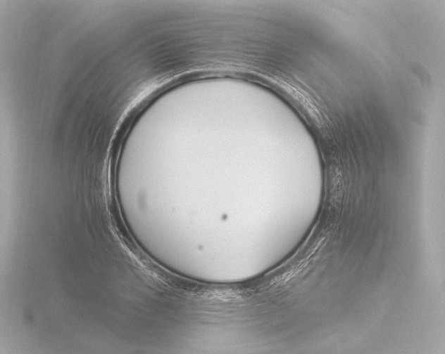 X0000116390982200912231106