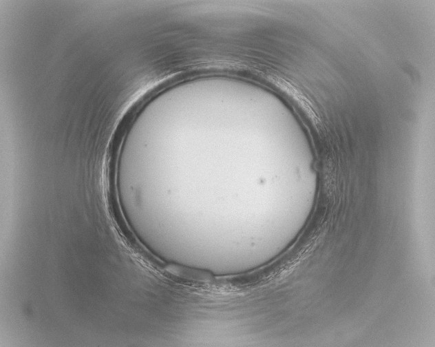 X0000116390983200912231106