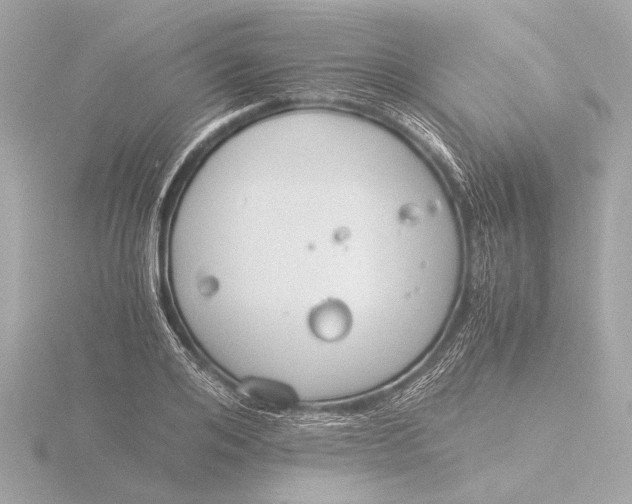 X0000116390984200912231106