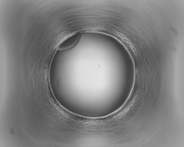 X0000116390985200912231106