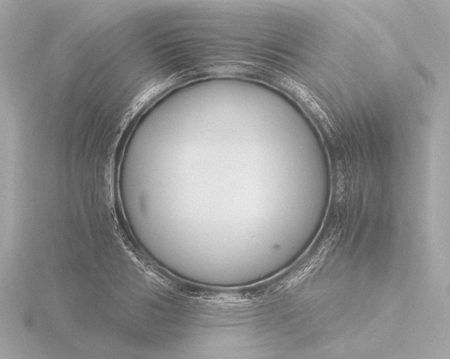 X0000116390986200912231106