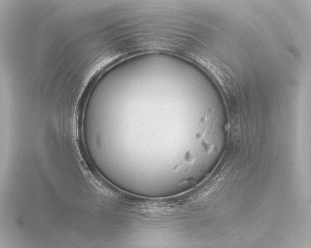 X0000116390987200912231106