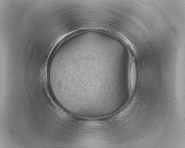 X0000116390988200912231106