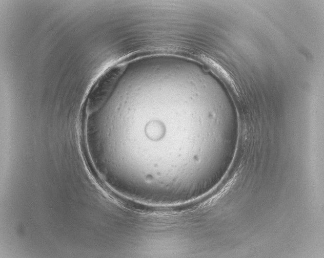 X0000116390989200912231106