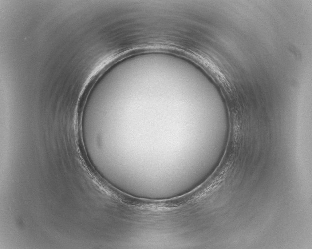 X0000116390990200912231106