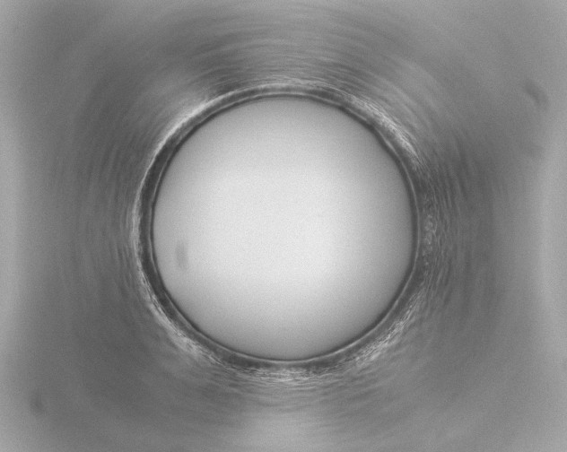 X0000116390991200912231106