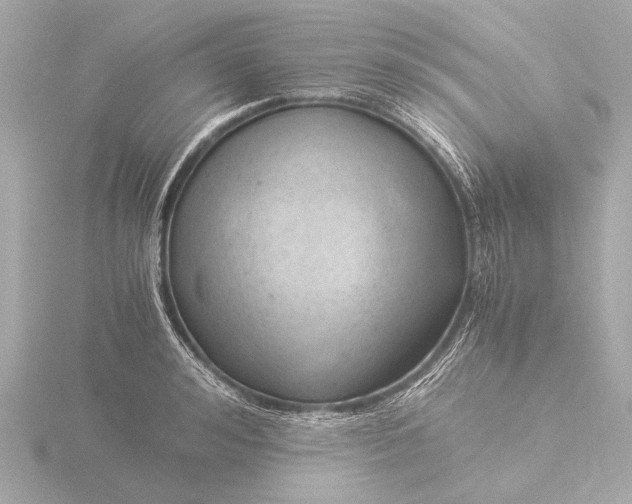 X0000116390992200912231106