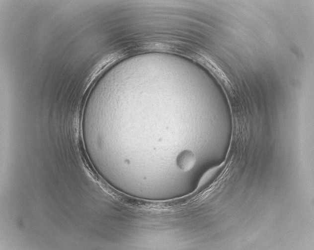 X0000116390994200912231106