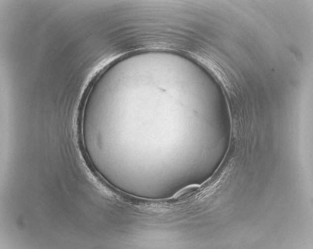 X0000116390995200912231106