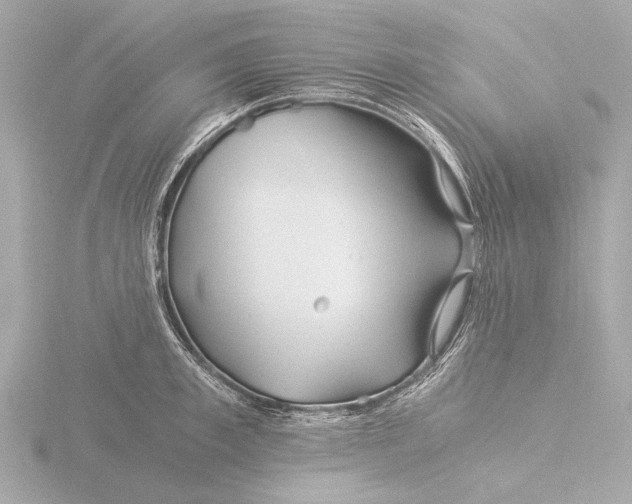 X0000116390997200912231106