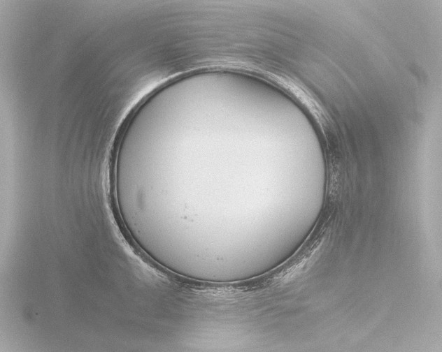 X0000116390999200912231106