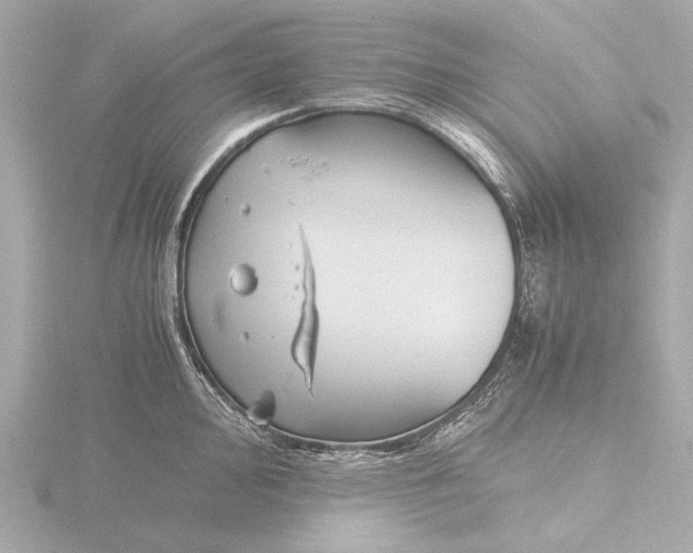 X0000116391000200912231106