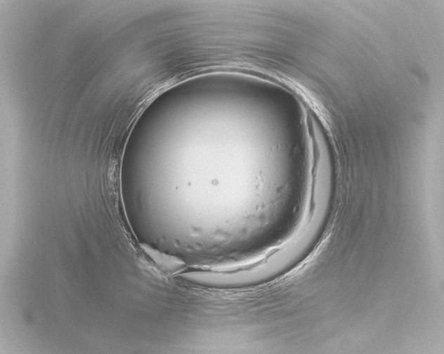 X0000116391001200912231106