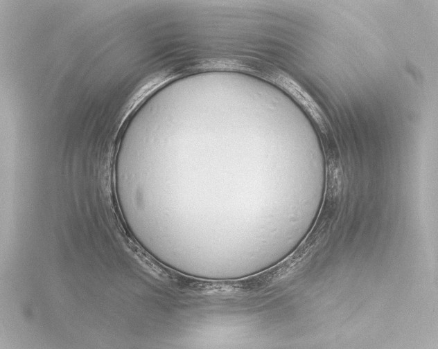 X0000116391002200912231106