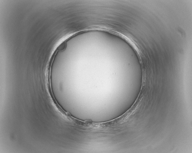 X0000116391003200912231106