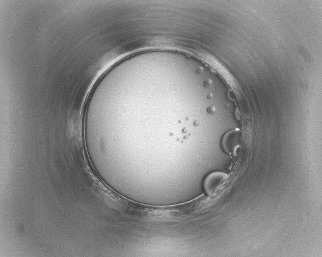 X0000116391004200912231106