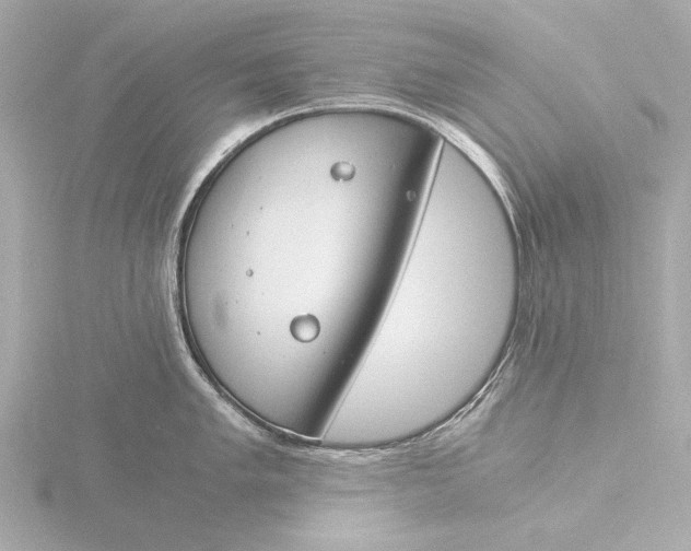 X0000116391005200912231106