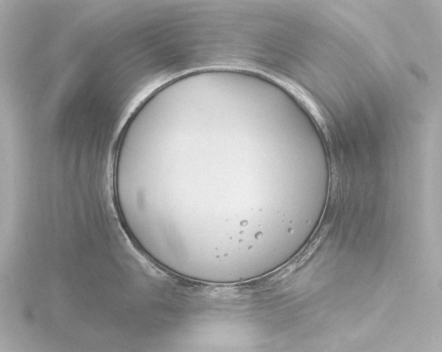 X0000116391006200912231106